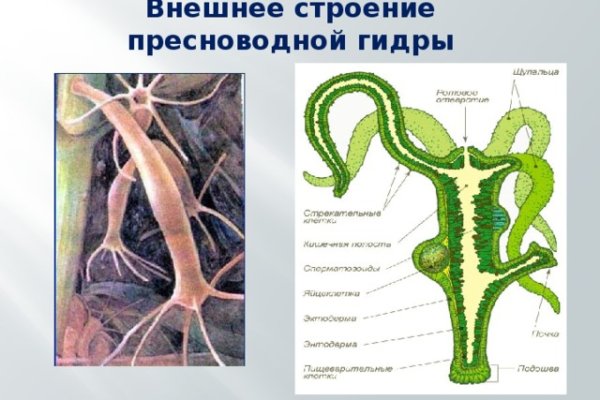 Актуальный домен кракена