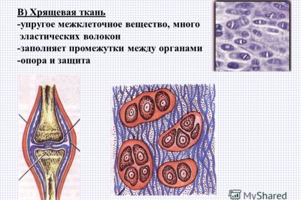 Кракен через браузер